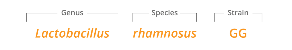 Lactobacillus Rhamnosus Gg® Database 